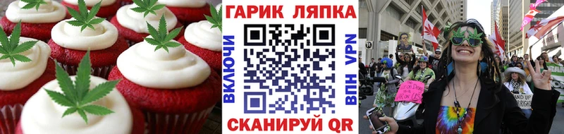где можно купить наркотик  Новоалександровск  Cannafood конопля 