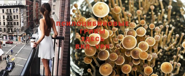 МДМА Аркадак