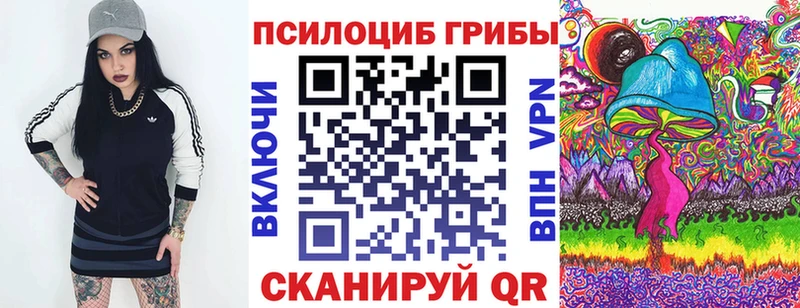как найти   гидра   Галлюциногенные грибы мицелий  Новоалександровск 